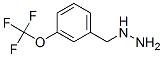 3-Trifluoromethoxy-benzyl-hydrazine Structure,887595-84-8Structure