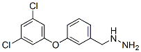 3-(3,5-Dichloro-phenoxy)-benzyl-hydrazine Structure,887595-95-1Structure