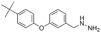 3-(4-Tert-butyl-phenoxy)-benzyl-hydrazine Structure,887596-01-2Structure