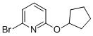 2-Bromo-6-(cyclopentyloxy)pyridine Structure,891842-81-2Structure