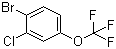 Benzene, 1-bromo-2-chloro-4-(trifluoromethoxy)- Structure,892845-59-9Structure