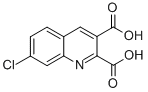 7-Chloroquinoline-2,3-dicarboxylic acid Structure,892874-52-1Structure