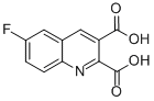 6-Fluoroquinoline-2,3-dicarboxylic acid Structure,892874-70-3Structure