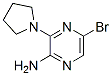 2-Amino-5-bromo-3-pyrrolidin-1-ylpyrazine Structure,893611-72-8Structure