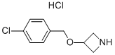 3-[(4-Chlorobenzyl)oxy]azetidine hydrochloride Structure,897019-60-2Structure