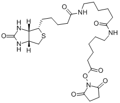 Biotinamidohexanoyl-6-aminohexanoic acid N-hydroxysuccinimide ester Structure,89889-52-1Structure