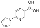 6-(Pyrrol-1-yl)-3-pyridinyl boronic acid Structure,899436-83-0Structure