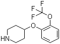 4-(2-(Trifluoromethoxy)phenoxy)piperidine Structure,902836-49-1Structure