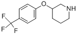 3-[4-(Trifluoromethyl)phenoxy]piperidine Structure,902836-91-3Structure