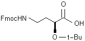 (2S)-2-叔丁基氧基-4-(9-芴甲氧基)-羰基氨基丁酸結(jié)構(gòu)式_905857-46-7結(jié)構(gòu)式