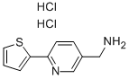 (6-Thien-2-ylpyridin-3-yl)methylamine dihydrochloride Structure,913830-32-7Structure