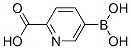 6-Carboxypyridine-3-boronic acid Structure,913836-11-0Structure