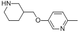 2-Methyl-5-(3-piperidinylmethoxy)pyridine Structure,914299-47-1Structure