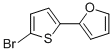 Furan, 2-(5-bromo-2-thienyl)- Structure,91891-82-6Structure