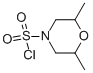 2,6-Dimethylmorpholine-4-sulfonyl chloride Structure,919026-20-3Structure