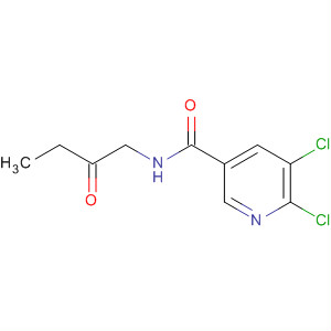 5,6-Dichloro-n-(2-oxobutyl)nicotinamide Structure,919354-06-6Structure