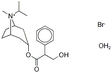 3-外-異丙托溴銨一水合物結(jié)構(gòu)式_922491-06-3結(jié)構(gòu)式