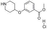 Methyl 3-(4-piperidinyloxy)benzoate hydrochloride Structure,936128-98-2Structure