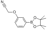 3-Cyanomethoxyphenylboronic acid, pinacol ester Structure,936250-18-9Structure