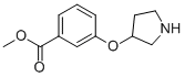 3-(Pyrrolidin-3-yloxy)-benzoic acid methyl ester Structure,946715-41-9Structure