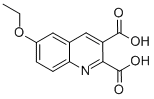 6-乙氧基喹啉-2,3-二羧酸結構式_948289-74-5結構式