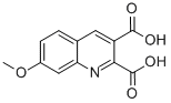 7-Methoxyquinoline-2,3-dicarboxylic acid Structure,948290-89-9Structure