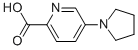 5-Pyrrolidin-1-ylpyridine-2-carboxylic acid Structure,950603-19-7Structure