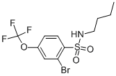 N-butyl-2-bromo-4-trifluoromethoxybenzenesulfonamide Structure,957062-76-9Structure