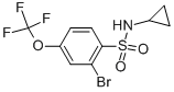 N-cyclopropyl-2-bromo-4-trifluoromethoxybenzenesulfonamide Structure,957062-79-2Structure