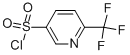 3-Pyridinesulfonyl chloride, 6-(trifluoromethyl)- Structure,959996-58-8Structure