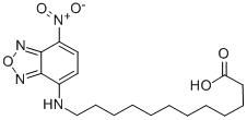 12-(7-Nitrobenzofurazan-4-ylamino)dodecanoic acid Structure,96801-39-7Structure