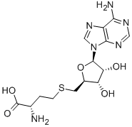 S-腺苷高半胱氨酸結構式_979-92-0結構式