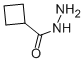 Cyclobutanecarbohydrazide Structure,98069-56-8Structure