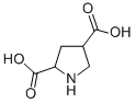 2,4-Pyrrolidinedicarboxylic acid Structure,99319-03-6Structure