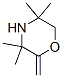 Morpholine, 3,3,5,5-tetramethyl-2-methylene- Structure,99777-12-5Structure