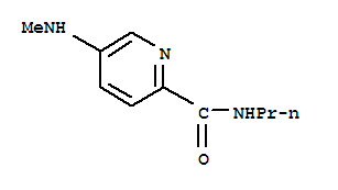 2-Pyridinecarboxamide, 5-(methylamino)-n-propyl- Structure,204973-08-0Structure