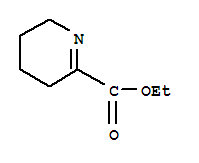 2-Pyridinecarboxylicacid,3,4,5,6-tetrahydro-,ethylester(9ci) Structure,219718-35-1Structure