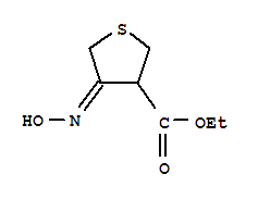 3-Thiophenecarboxylicacid,tetrahydro-4-(hydroxyimino)-,ethylester(9ci) Structure,224449-43-8Structure