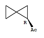 (9ci)-1-(1r)-螺[2.2]戊基-乙酮結(jié)構(gòu)式_249563-60-8結(jié)構(gòu)式