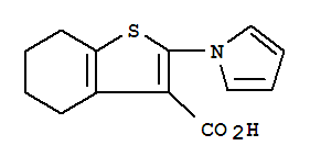 2-(1H-pyrrol-1-yl)-4,5,6,7-Tetrahydro-1-benzothiophene-3-carboxylic acid Structure,26176-21-6Structure