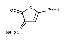 2(3H)-furanone,5-(1-methylethyl)-3-(1-methylethylidene)-(9ci)Structure,287734-85-4Structure 2(3H)-furanone,5-(1-methylethyl)-3-(1-methylethylidene)-(9ci) Structure,287734-85-4Structure