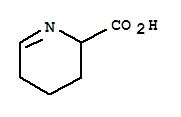 2,3,4,5-Tetrahydropyridine-2-carboxylic acid Structure,3038-89-9Structure