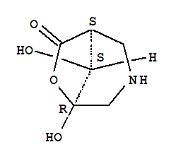 (1S,5R,8S)-(9Ci)-5,8-二羥基-6-噁-3-氮雜雙環(huán)[3.2.1]-7-辛酮結(jié)構(gòu)式_355117-74-7結(jié)構(gòu)式