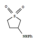 N-(1,1-dioxidotetrahydrothien-3-yl)-n-phenylamine Structure,35889-69-1Structure