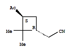 Cyclobutaneacetonitrile,3-acetyl-2,2-dimethyl-,(1r,3s)-rel-(9ci) Structure,368423-20-5Structure