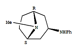 (3-Exo)-8-methyl-n-phenyl-8-azabicyclo[3.2.1]octan-3-amine Structure,63930-14-3Structure