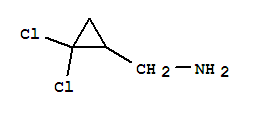 (2,2-Dichlorocyclopropyl)methylamine Structure,68618-71-3Structure