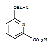 2-Pyridinecarboxylicacid,6-(1,1-dimethylethoxy)-(9ci) Structure,717105-06-1Structure