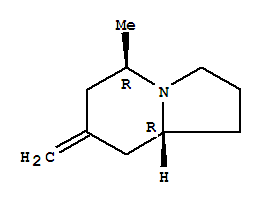 (5r,8ar)-(9ci)-八氫-5-甲基-7-亞甲基-吲哚嗪結構式_727985-42-4結構式