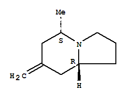 (5s,8ar)-(9ci)-八氫-5-甲基-7-亞甲基-吲哚嗪結構式_729612-51-5結構式